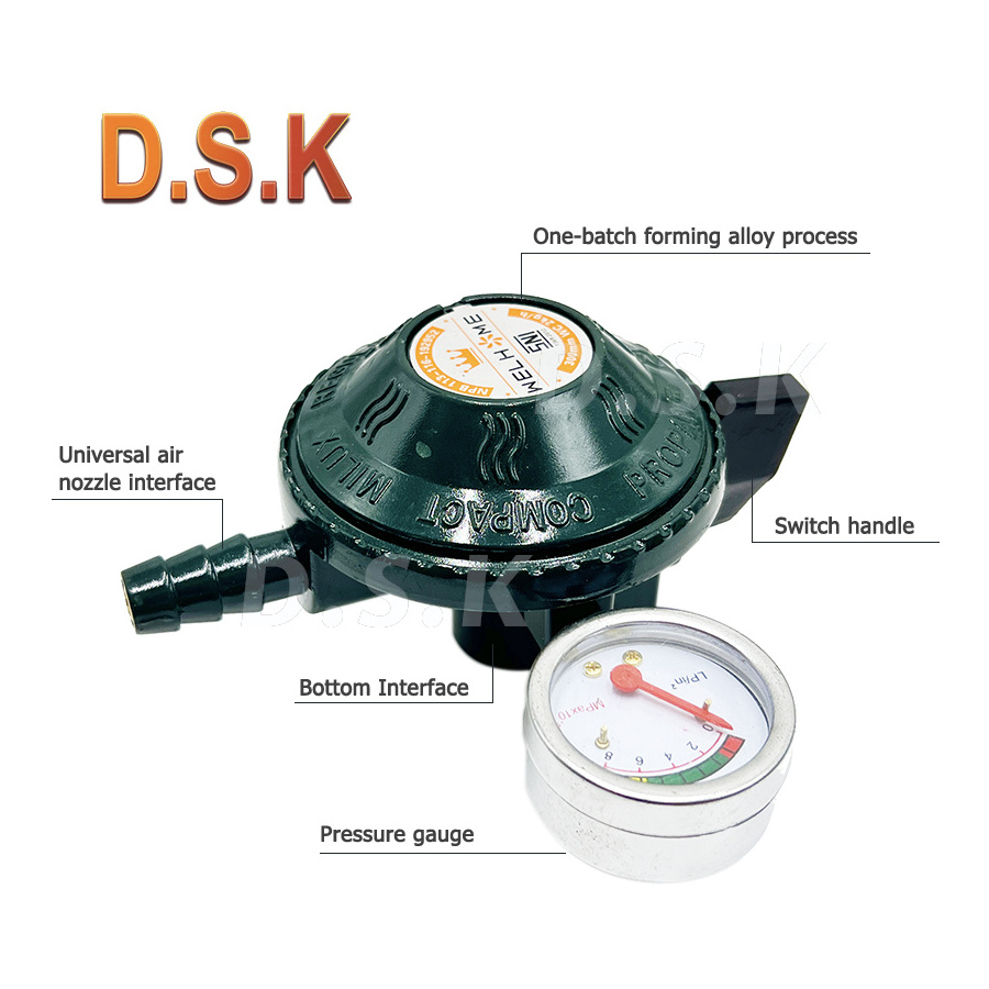 Professional Manufacturer Sale Valve Lpg High Pressure Gas Regulator With Gauge Meter