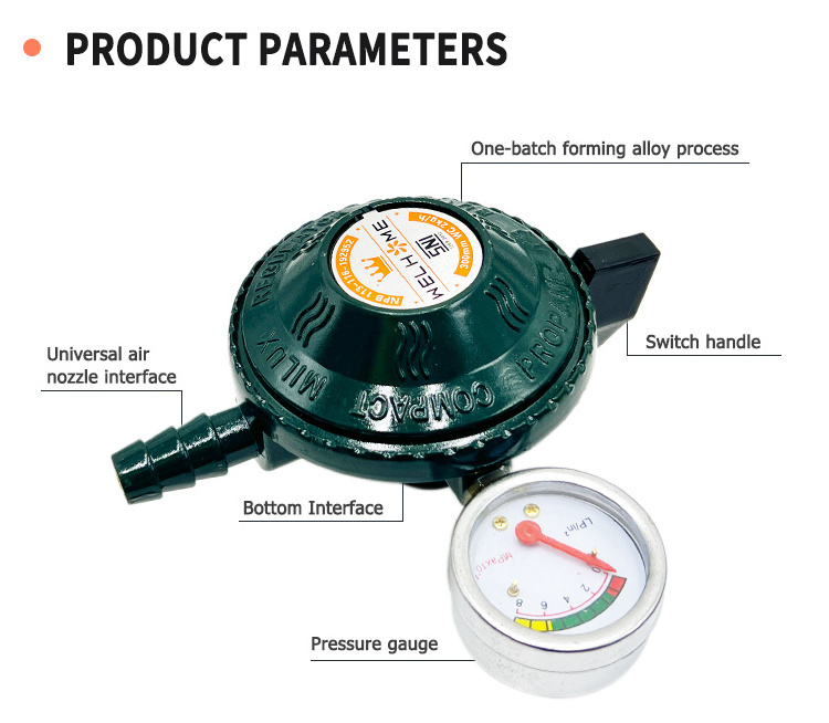 Professional Manufacturer Sale Valve Lpg High Pressure Gas Regulator With Gauge Meter