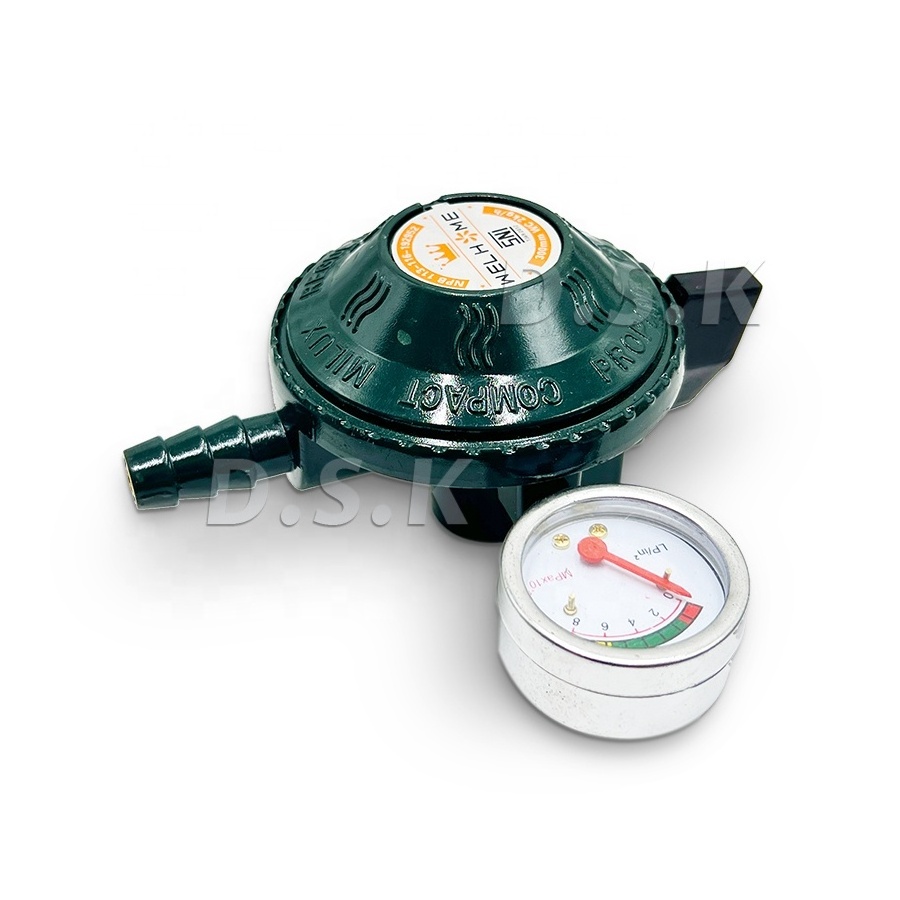 Professional Manufacturer Sale Valve Lpg High Pressure Gas Regulator With Gauge Meter