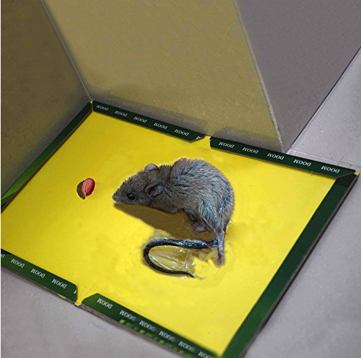 Cockroach Rat Mousetraps Sticky Paper Board Mouse Glue Trap for Home Physical Pest Control for Insect Control Use Acceptable