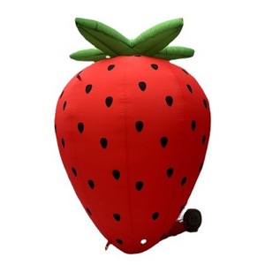 Customized inflatable fruit strawberry  cartoon large inflatable model for advertising