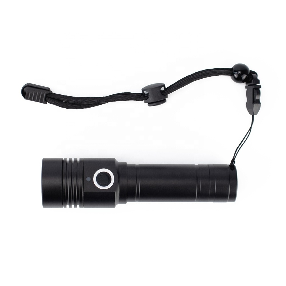 UVA UVC 270nm 395nm Dual Sources Aluminum Mini Torch Black Light Rechargeable UV Flashlight