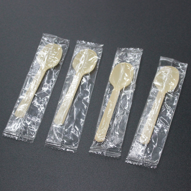 Disposable Plastic Ice Cream Spoon Pudding Spoon Lite Independent Package 100*25mm