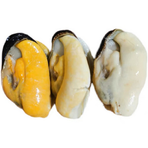 High quality Frozen mussels meat without shell