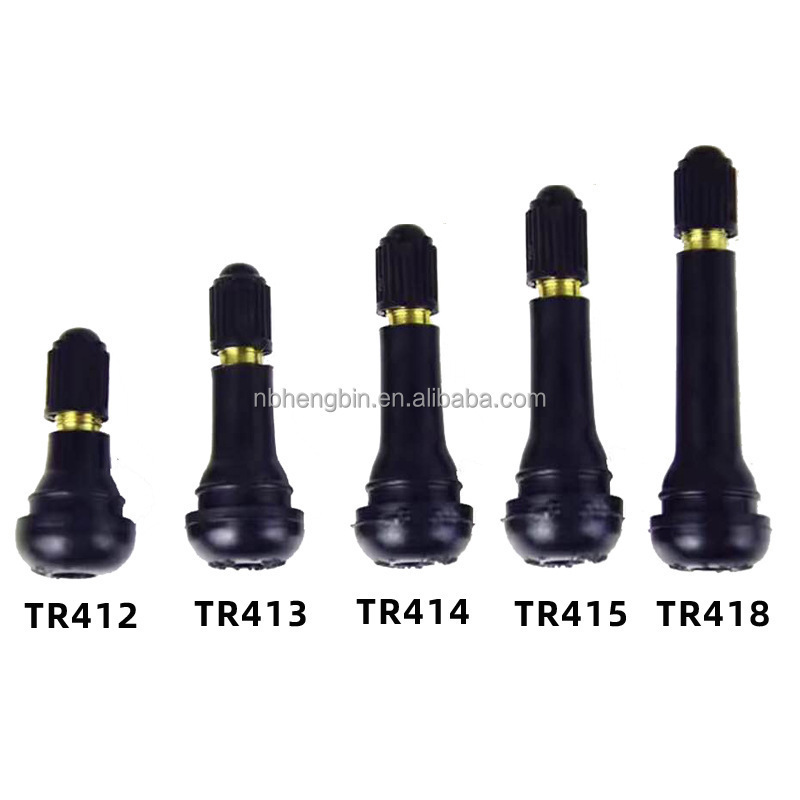 Tubeless Tire Valve  Stem TR412 TR413 TR414 TR415 TR418 Tubeless Tyre Valve for Light Car