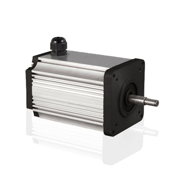 0.25 4 11/4 hp 220v 60hz 1.5kw 100 hp electric car brushless dc motor