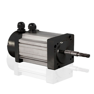 48v 1500w 1 hp 220v 60hz 4kw 36v ie4 2kw electric boat permanent magnet brushless dc motor for car