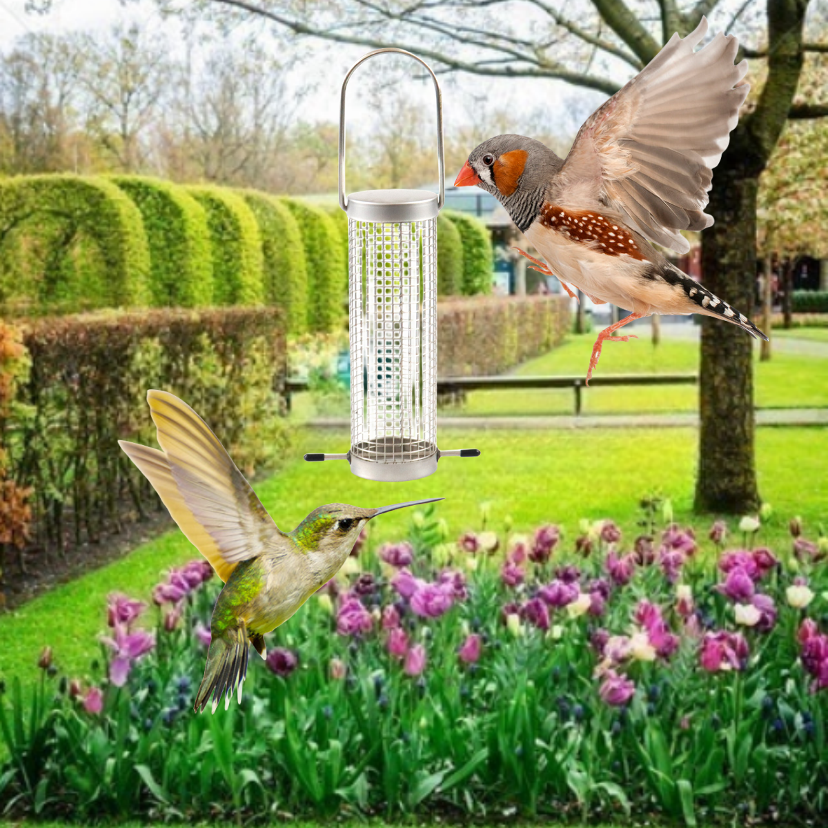 Factory Price Hanging Metal Easy Clean Stainless steel bird feeder For Outdoor