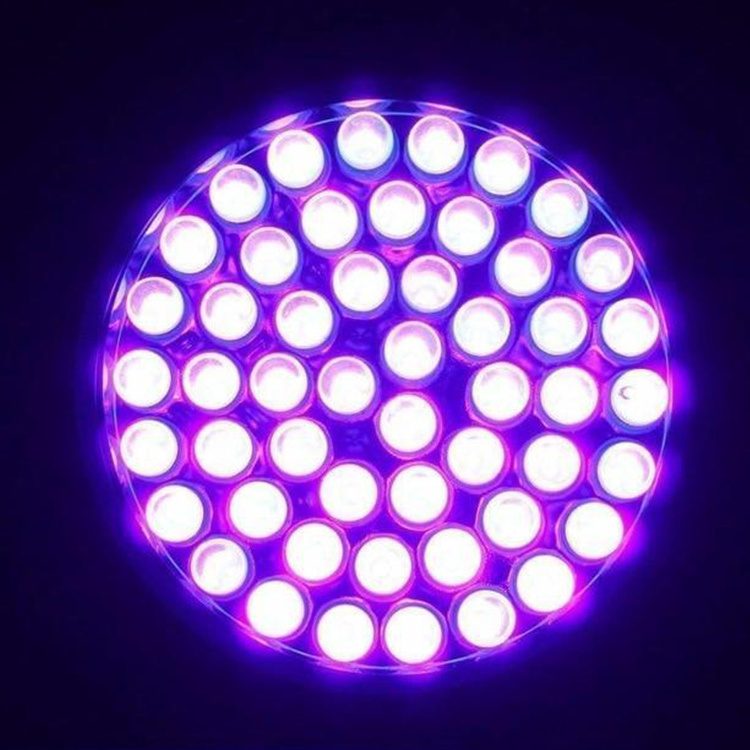 Aluminum 51LED 365NM 395NM  Purple Light Flashlight UV Detection Flashlight Scorpion Cure Utraviolet led uv light