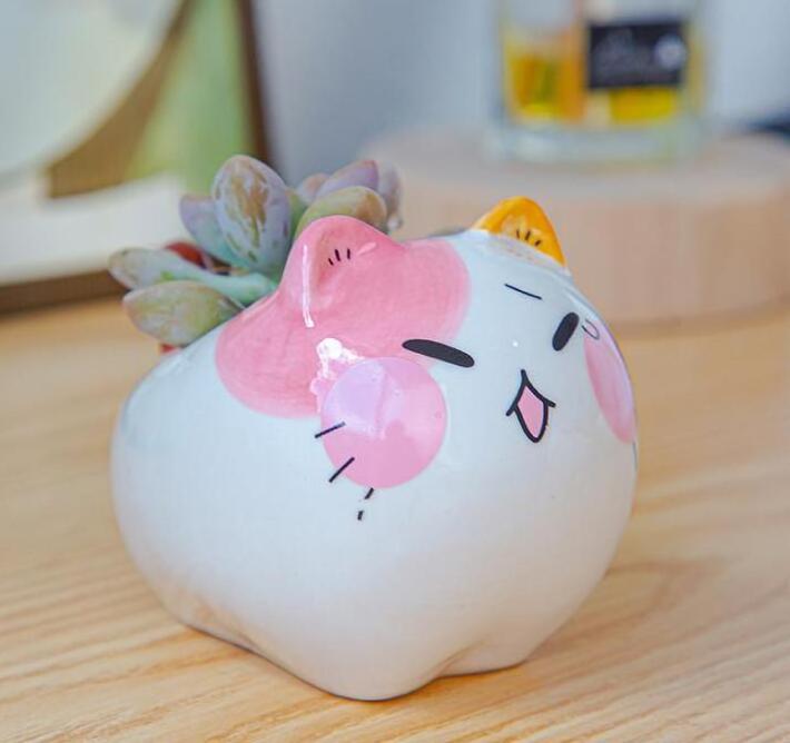 Creative cartoon animal succulent flowerpot gardening cute cat ceramic mini flower pots