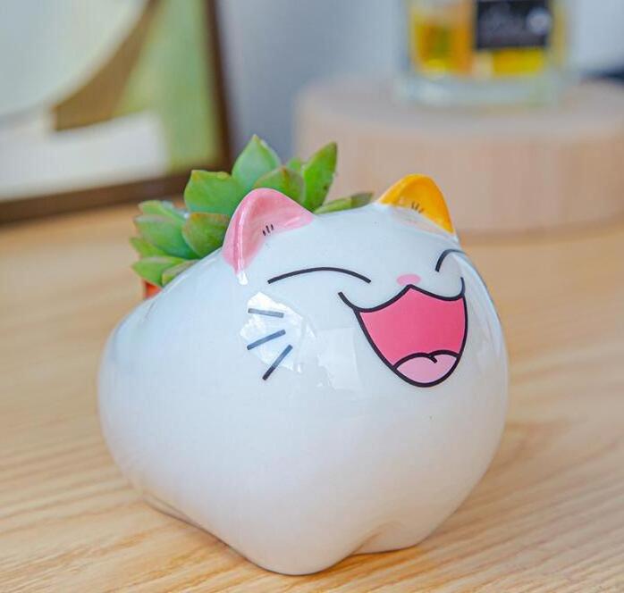 Creative cartoon animal succulent flowerpot gardening cute cat ceramic mini flower pots