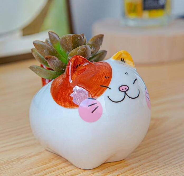 Creative cartoon animal succulent flowerpot gardening cute cat ceramic mini flower pots