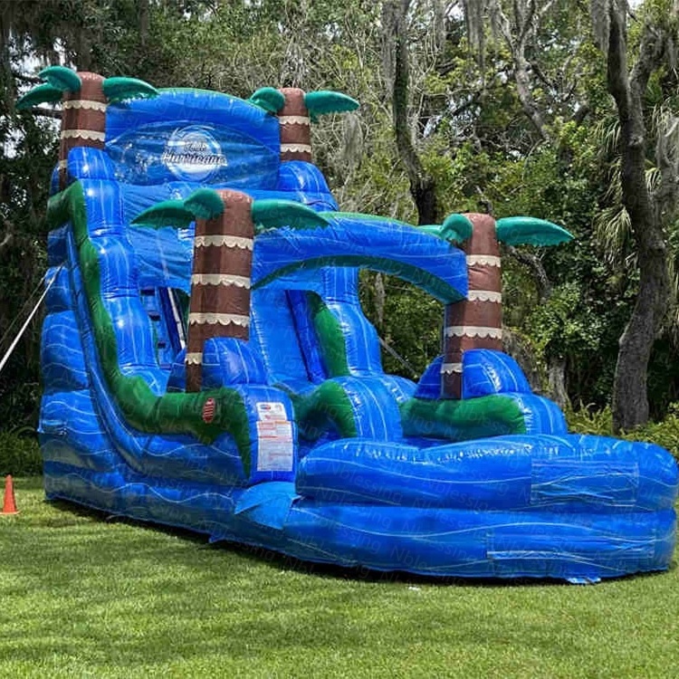 Dual Lanes Slide  Inflatable Inflatable Water Slides Cheap  Water  Bouncy Castle Slide Bounce