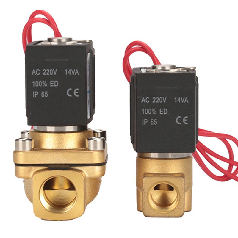 VX2120-06 1/8'' 2/2 Way Normally Closed Direct Acting Brass Solenoid Valve For Water Gas Air 12VDC 24VDC 110VAC 220VAC