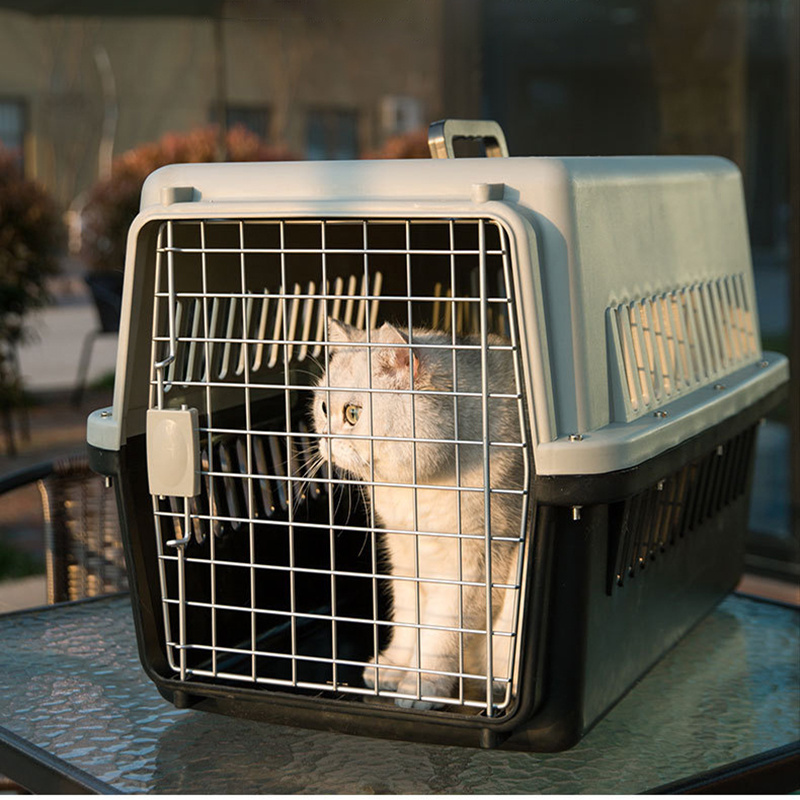 Portable plastic pet carrier airline approved carrier bag for cat