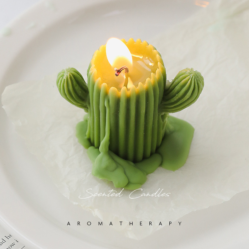 Decorative Luxury Candle and Custom Made Soy Wax Cactus Candle