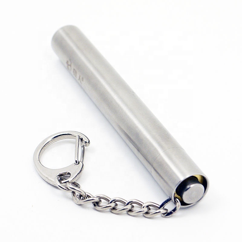 Stainless Steel Torch LED 365nm UV Flashlight with Key Chain