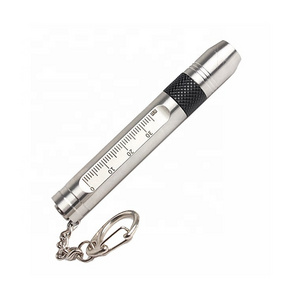 Mini Flashlight Stainless Steel Pocket Ruler LED Torch with Key Chain