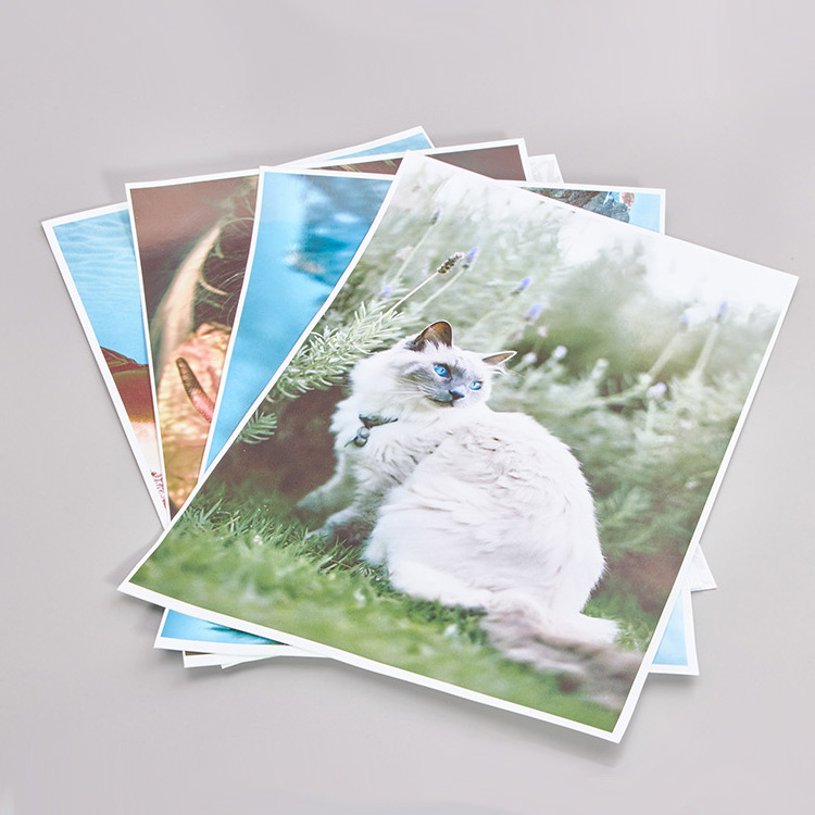 A4 Wholesale 260g Single Side High Glossy Inkjet Print Glossy Photo Paper 20 sheets per pack