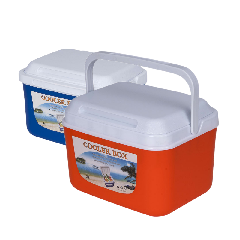 Outdoor Camping Barbecue 5L Mini Dual Use Car Refrigerator Home Freezer Thermal Cold Icebox Portable Travel Cooler Box