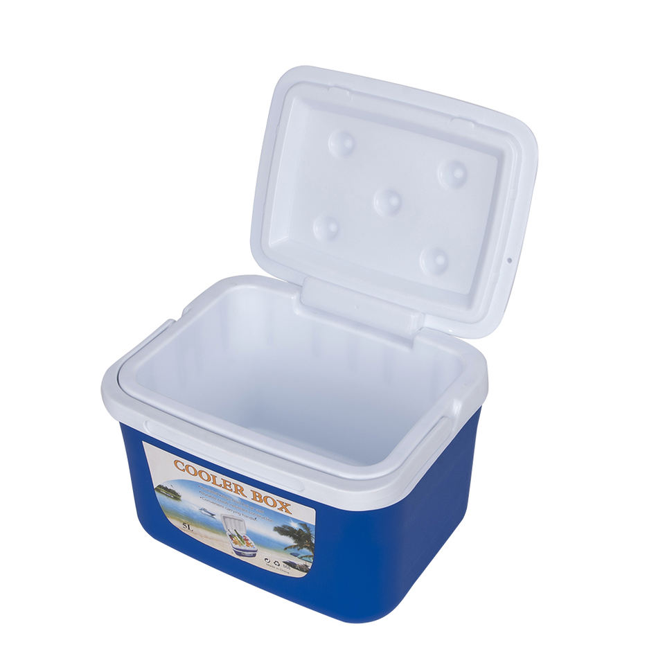 Outdoor Camping Barbecue 5L Mini Dual Use Car Refrigerator Home Freezer Thermal Cold Icebox Portable Travel Cooler Box