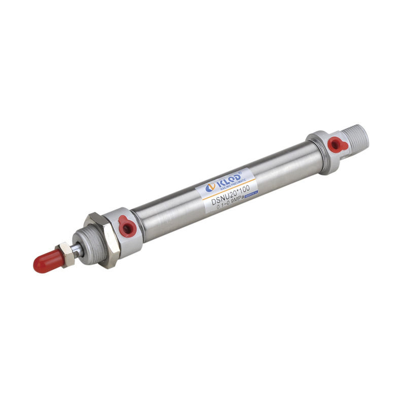 DSNU Series DSNU20x100 ISO6432 Standard Pneumatic Piston Air Cylinder