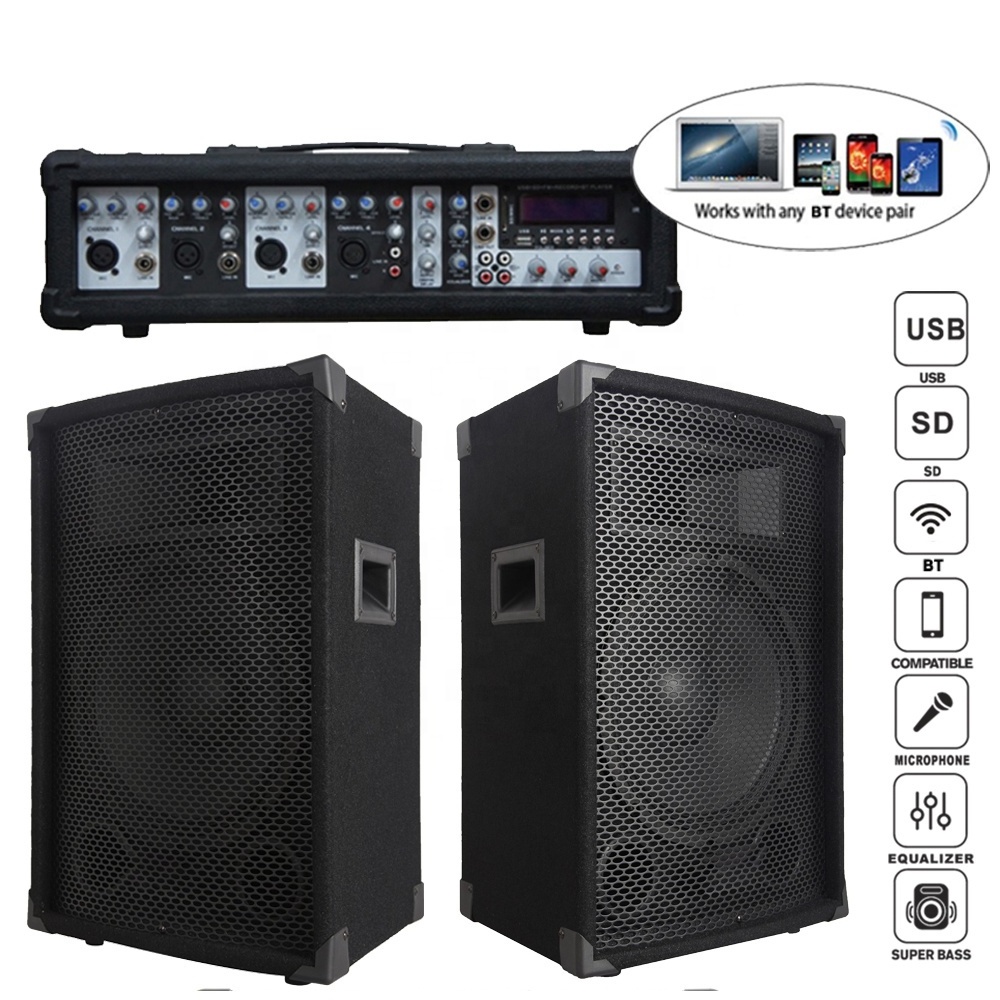 Professional audio 1000W 2X12