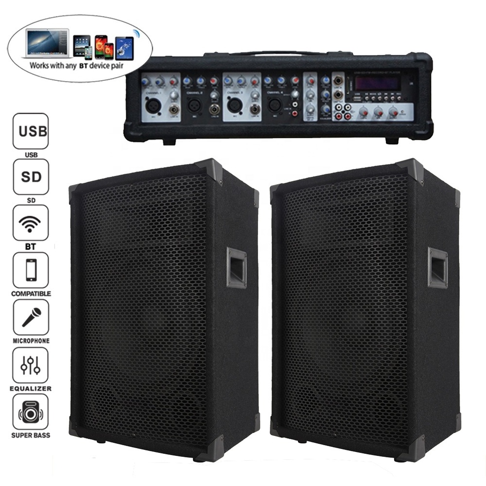 Professional audio 1000W 2X12