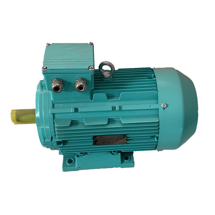 Most popular Asynchronous Squirrel Cage 3 phase electric motor  ac induction