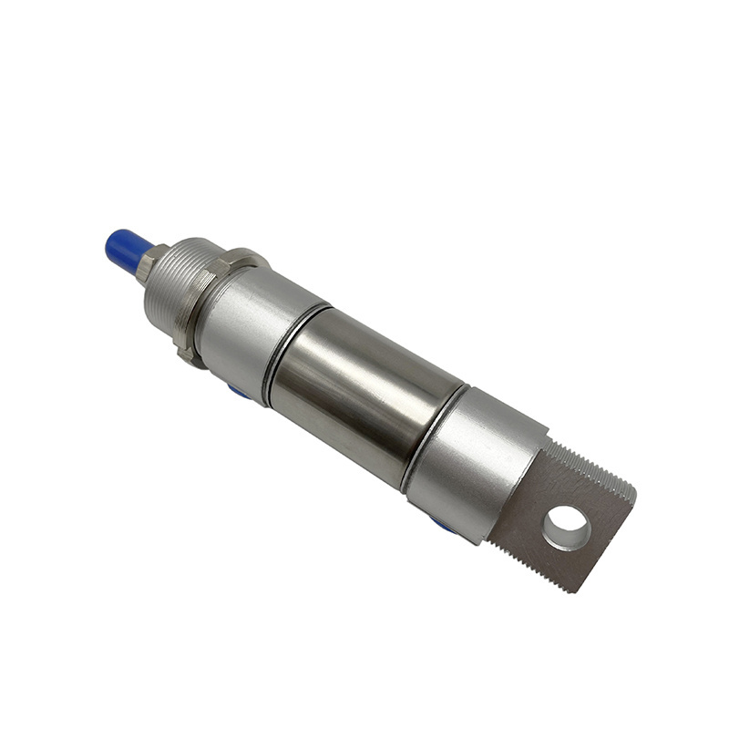 FESTOS DSNU Bore 8-63mm Stand Long Stroke 25-1000mm Stainless Steel Mini Pen Small Air Automatic Pneumatic Cylinder