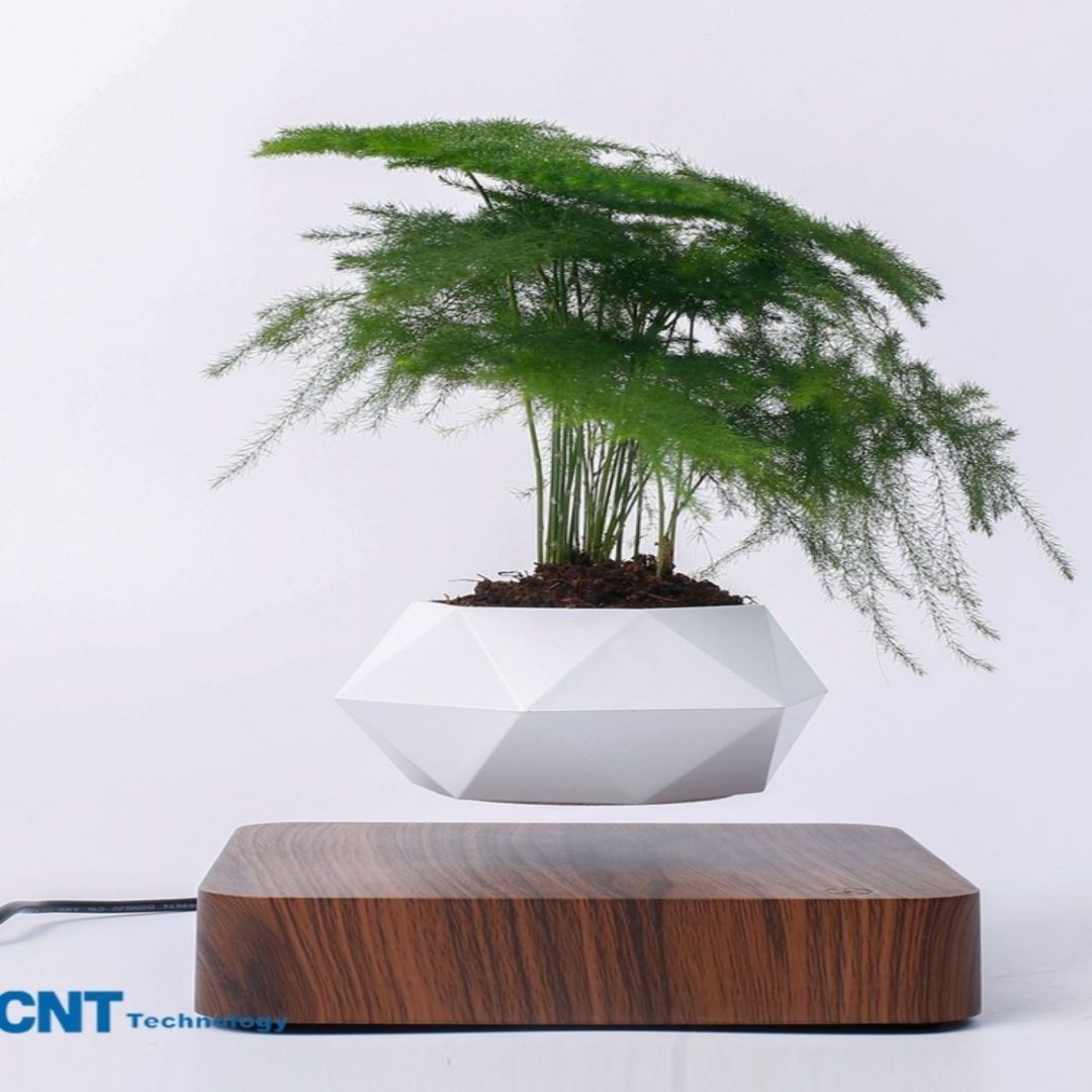 LECMAG Magnetic Levitating Bonsai Floating Plant Pot for Plants with Wooden Magnetic Levitation Pots (Rotating)