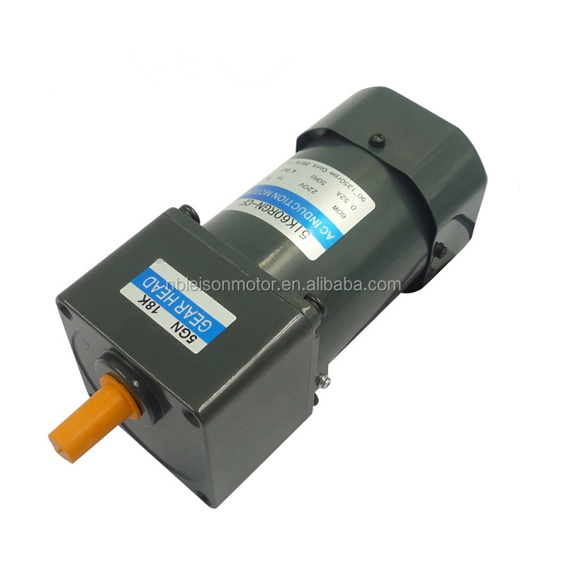 Asynchronous 110v 220v 10rpm to 500rpm small ac gear electric motor