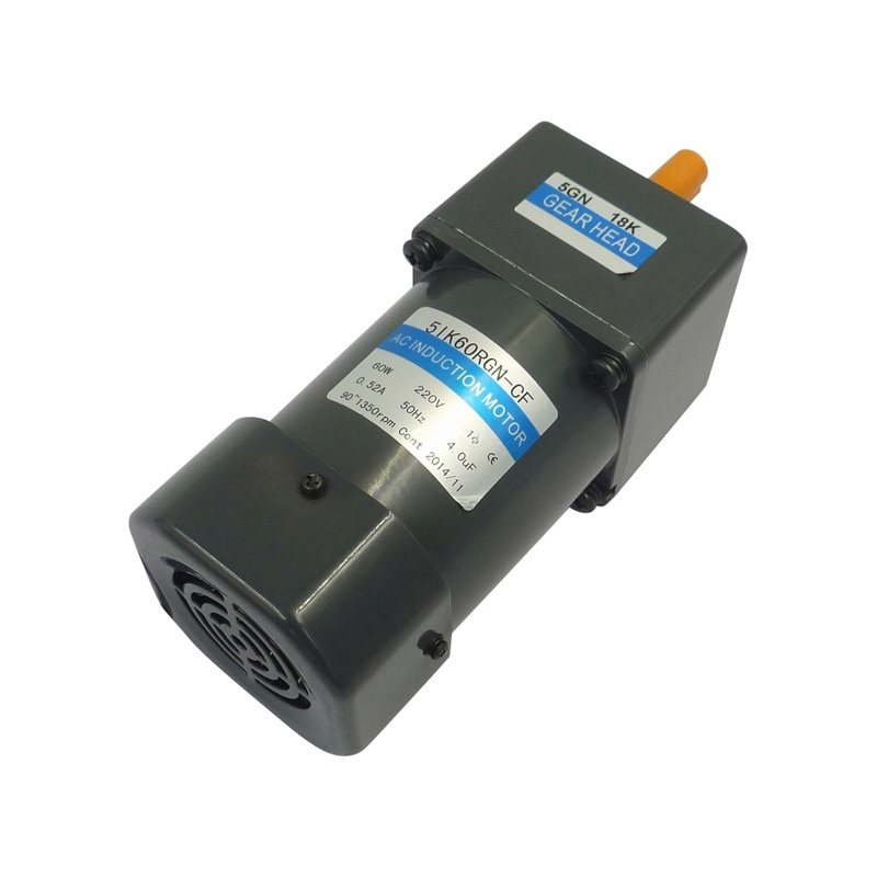 Asynchronous 110v 220v 10rpm to 500rpm small ac gear electric motor