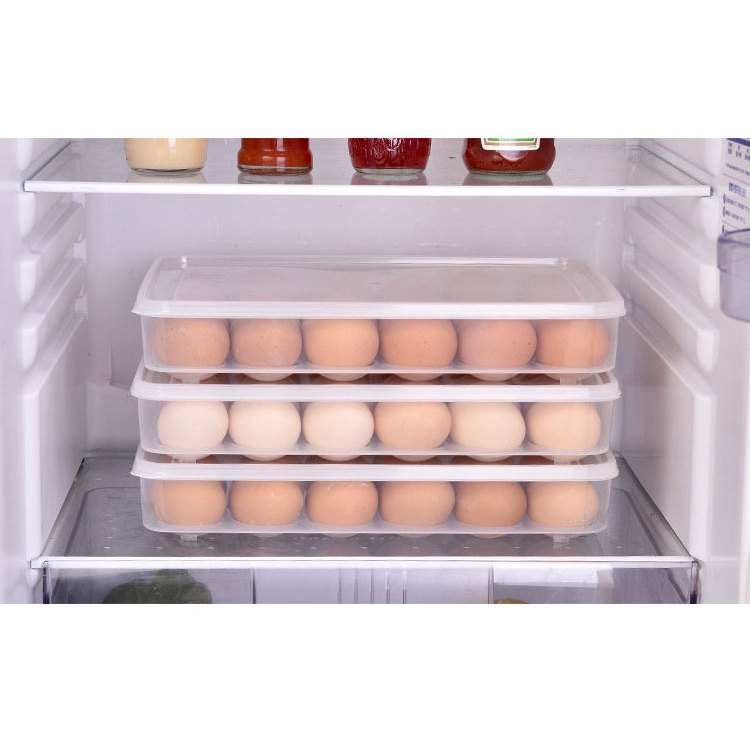 Refrigerator Storage Egg Box 24 Grid Pet Plastic Clear Freezer Eggs Storage Container Kitchen Refrigerator Organizer