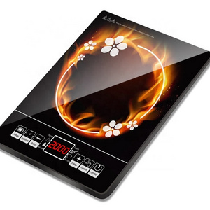 2021 Factory Price Hot Sell Portable Hob Electric 12V Battery Powered Infrared Induction Cooker