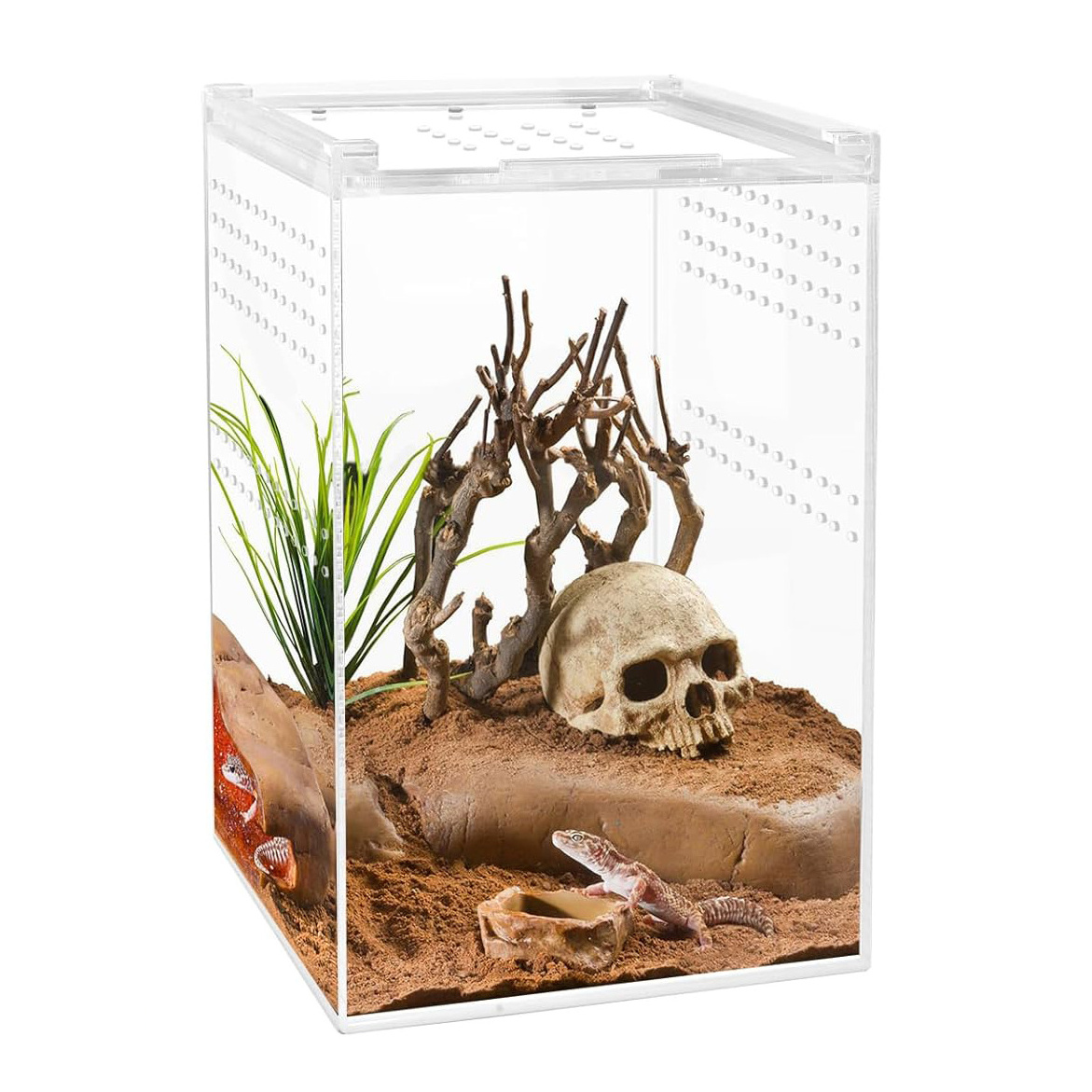 Custom Reptile Show Case Acrylic Reptile Enclosure Terrarium with Magnetic Button for Spider, Reptiles,Lizard