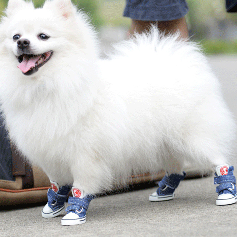 4pcs/set Pet Dog Anti-slip Dog Shoes Sneakers Breathable Booties Puppy Denim Shoes For Small Large Dogs