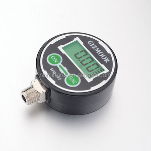 DIG01029 Customized Digital Tire Pressure Gauge for Automobile