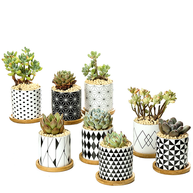 Cactus Plant Container Planter Bonsai Pot Wholesale Ceramic Flower Pot Fashion Geometric Pattern Succulent Plant Pots