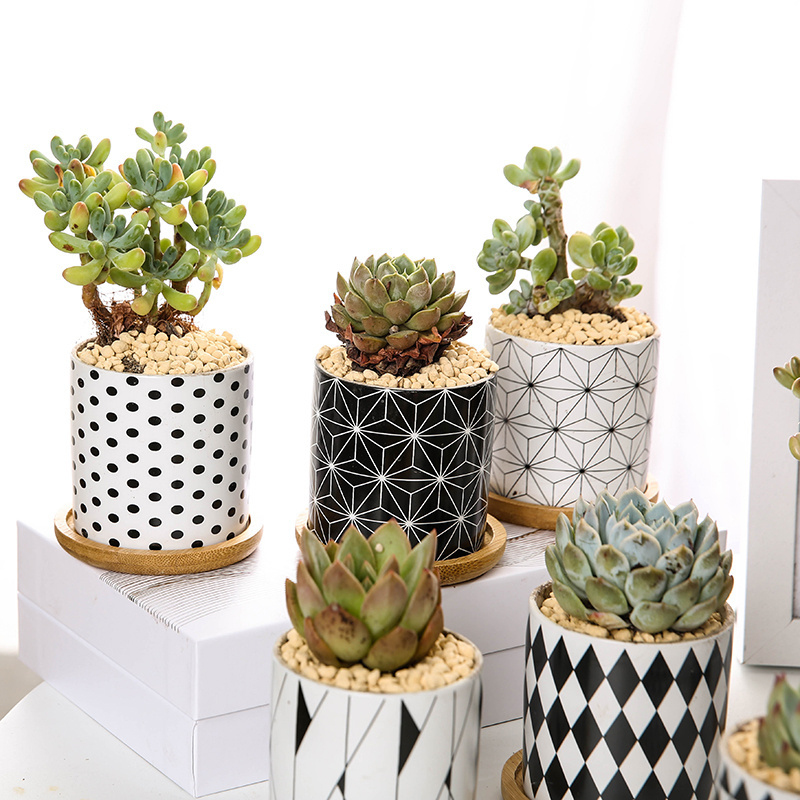 Cactus Plant Container Planter Bonsai Pot Wholesale Ceramic Flower Pot Fashion Geometric Pattern Succulent Plant Pots