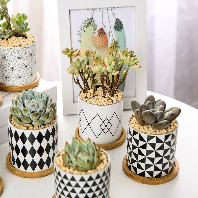 Cactus Plant Container Planter Bonsai Pot Wholesale Ceramic Flower Pot Fashion Geometric Pattern Succulent Plant Pots