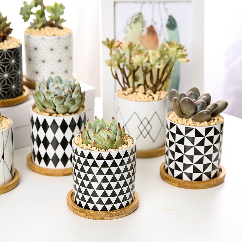 Cactus Plant Container Planter Bonsai Pot Wholesale Ceramic Flower Pot Fashion Geometric Pattern Succulent Plant Pots