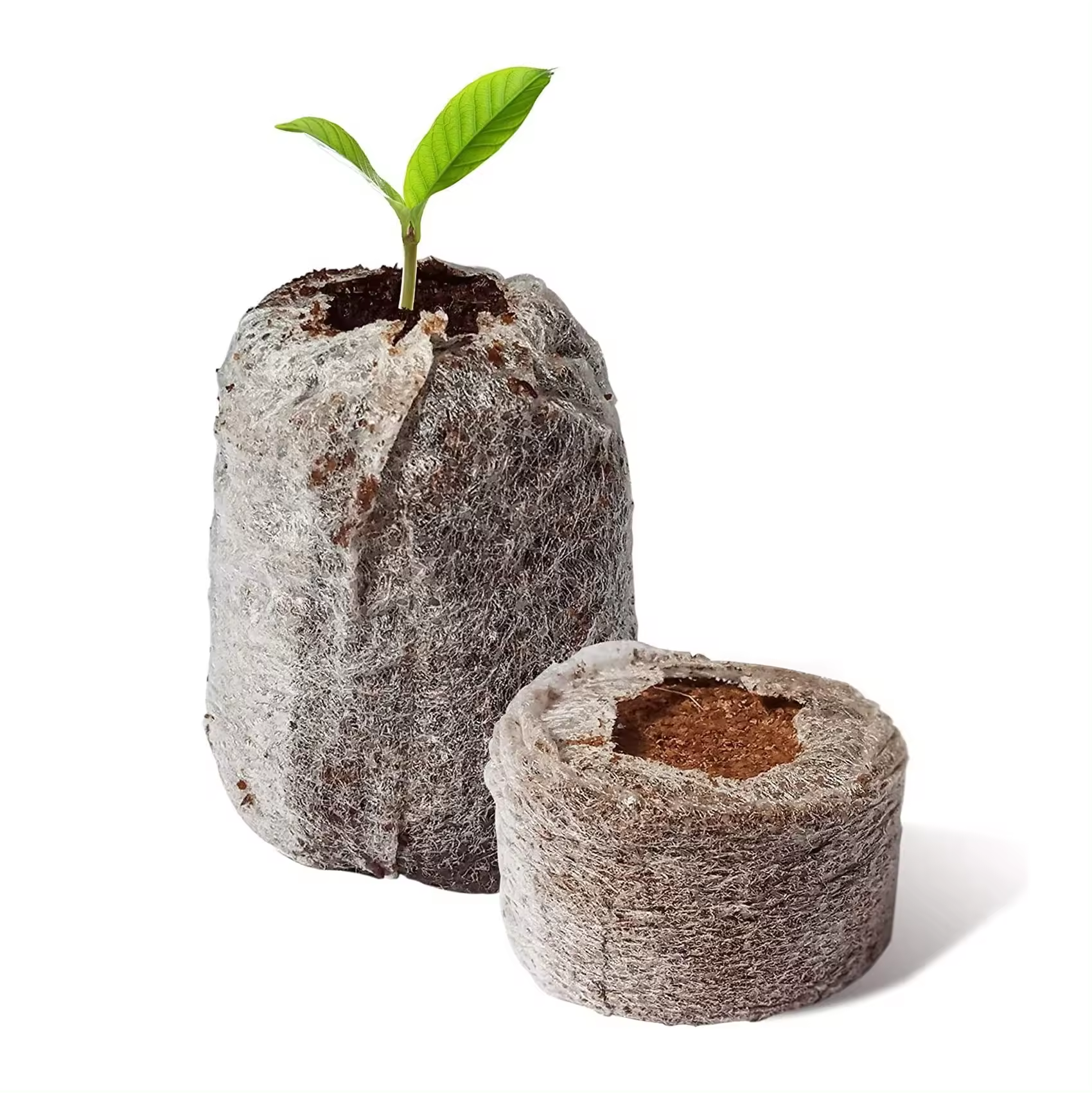 Seedling soil block compressed peat block compressed soil medium culture substrate flowers and vegetables planting