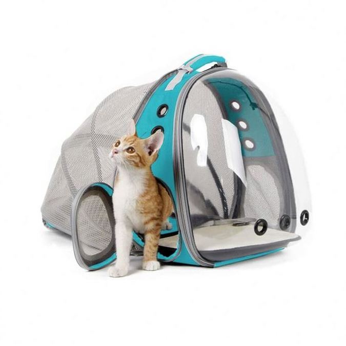 Expandable Cat Backpack carrier Space Capsule Bubble Transparent Clear Pet Carrier for Small Dog Pet Carrying Hiking Traveling B