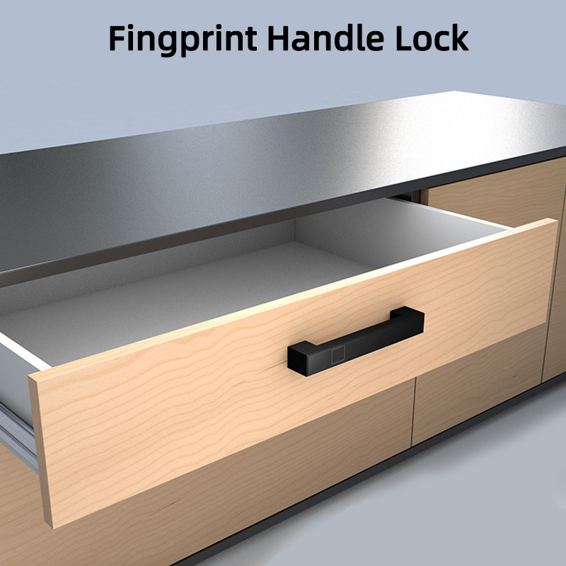 office furniture wardrobe drawer smart fingerprint biometric cabinet lock with handle