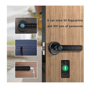 TUYA Zinc Alloy Double Sided Fingerprint Password Key Unlocked Panel Smart Door Handle Lock