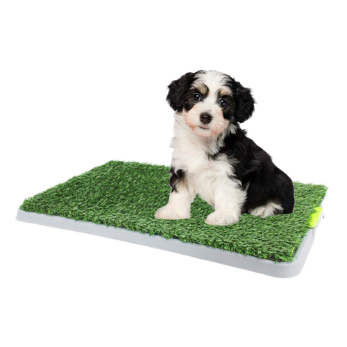 Customized Extra Large Pet Training And Puppy Training Toilet Wee Pee Pads Artificial Grass  Dog Toilet - With 2 Mats