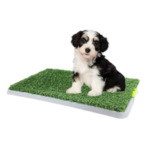 China Wholesale Extra Large Dog Pet Carbon Training Pads Dog Toilet And Artificial Grass Turf Puppy Potty Trainer Pads Blanket