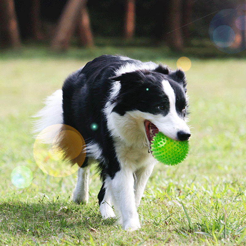 Wholesale TPR durable pet dog ball squeak toys soft rubber bouncy floating spike teeth cleaning chew toys for dogs