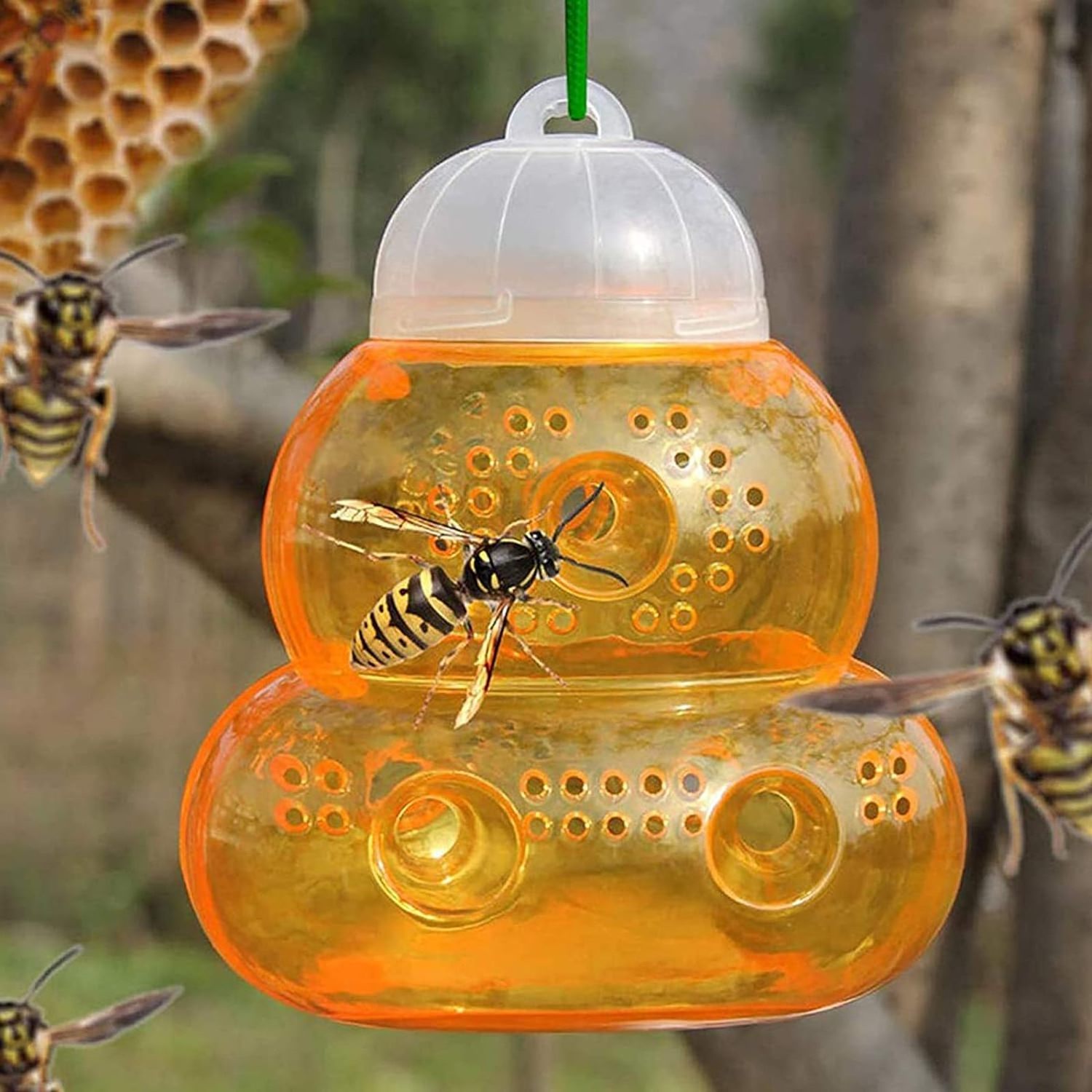 Wasp Trap Outdoor Hanging, Wasp Trap Traps Catcher, Outdoor Wasp Deterrent Killer Insect Catcher, Reusable Hornet Traps Yell